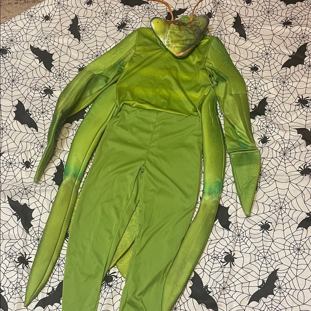 Praying mantis costume
